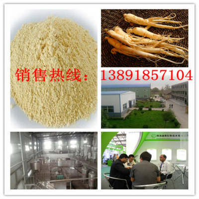 植物提取物-工廠熱銷人參皂甙80% 人參提取物 人參總皂甙 1公斤包郵-植物提取.
