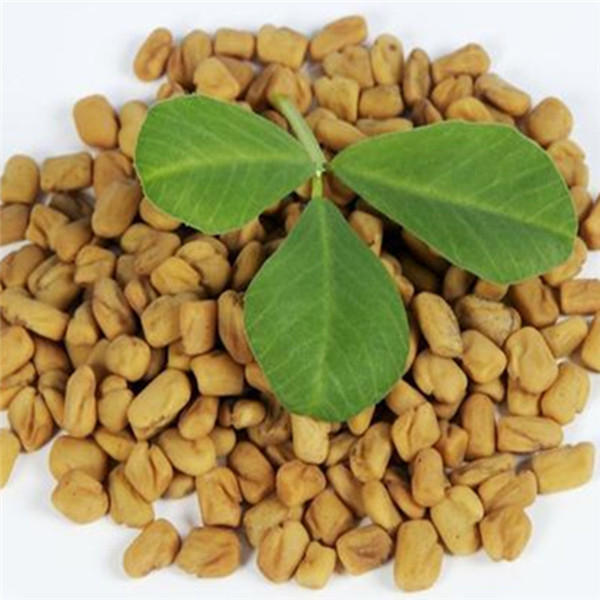 葫蘆巴濃縮粉 植物提取物 葫蘆巴粉 生產(chǎn)廠家_植物提取物_提取物_食品