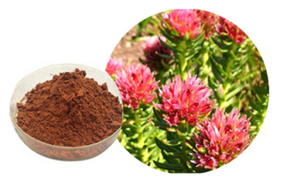 紅景天提取物的應用與功效