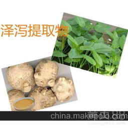 【供應(yīng)澤瀉提取物植物提取物功效】- 