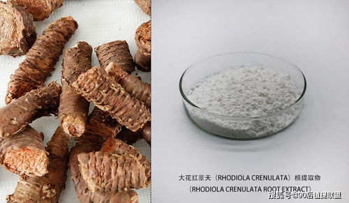 2020年化妝品原料熱點點評 植物提取物的新浪潮與前沿應用